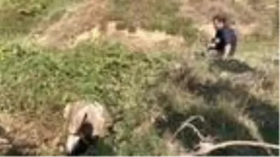Sahibinin başında bıçakla beklediği ineği sucuk olmaktan itfaiye ekipleri kurtardı Sahibinin başında bıçakla beklediği ineği sucuk olmaktan itfaiye ekipleri kurtardı