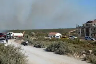 Didim'deki makilik yangını korkuttu Didim'deki makilik yangını korkuttu