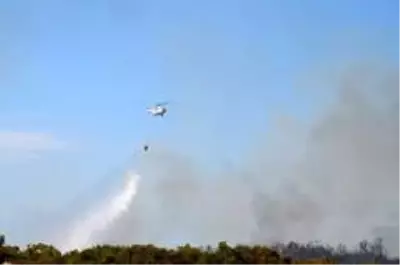 Didim'deki makilik yangını korkuttu Didim'deki makilik yangını korkuttu