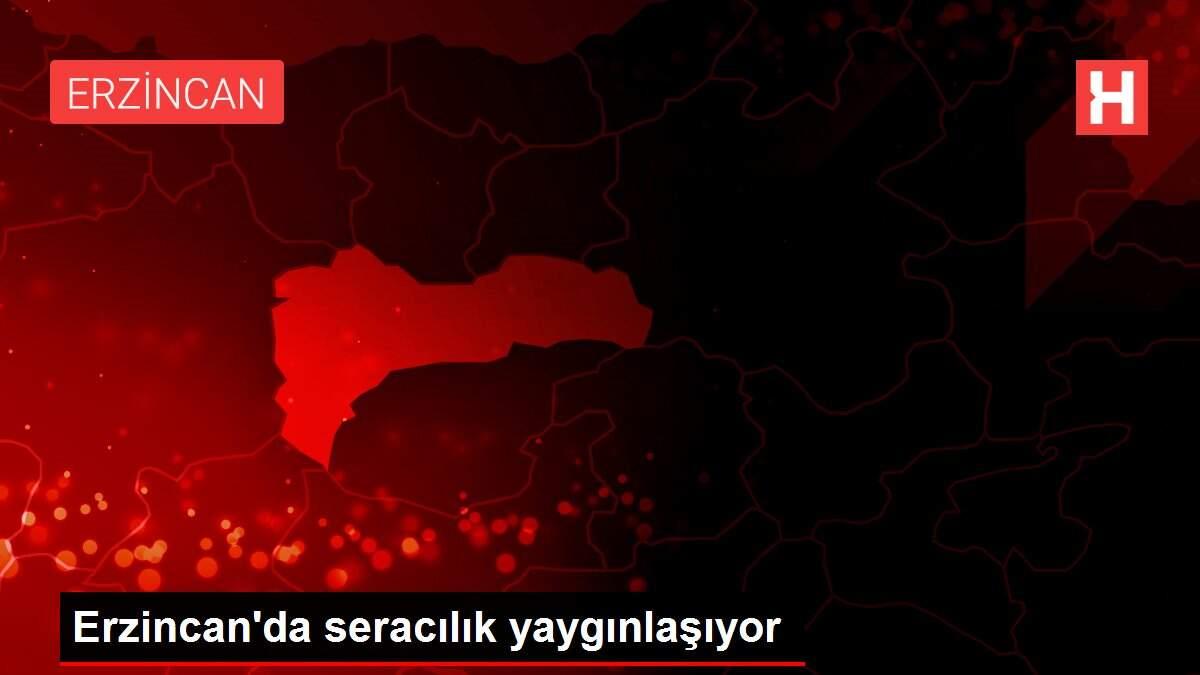 Erzincan'da seracılık yaygınlaşıyor Erzincan'da seracılık yaygınlaşıyor