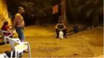 İş yerine girmeye çalışan şüphelileri, köpek havlamaları ele verdi İş yerine girmeye çalışan şüphelileri, köpek havlamaları ele verdi