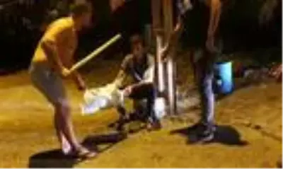 İş yerine girmeye çalışan şüphelileri, köpek havlamaları ele verdi İş yerine girmeye çalışan şüphelileri, köpek havlamaları ele verdi