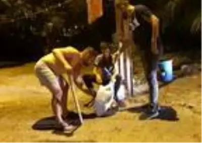 İş yerine girmeye çalışan şüphelileri, köpek havlamaları ele verdi İş yerine girmeye çalışan şüphelileri, köpek havlamaları ele verdi