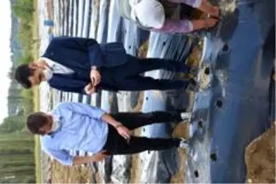 Kaymakam Soylu: 'Amacımız üreticimize yeni gelir kaynakları oluşturmaktır' Kaymakam Soylu: 'Amacımız üreticimize yeni gelir kaynakları oluşturmaktır'