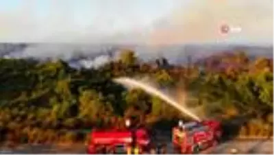 Kuş Cenneti'nde çıkan yangının yaraları sarılıyor Kuş Cenneti'nde çıkan yangının yaraları sarılıyor