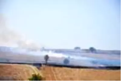 Son dakika haber: Malkara'da çıkan anız yangınında 700 dönüm arazi zarar gördü