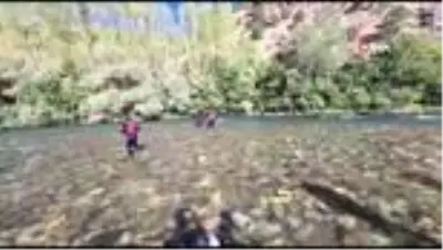 Munzur Çayı'nda cansız bedenlerine ulaşılan 2 kardeşin ölümünde şüpheli bir duruma rastlanmadı Munzur Çayı'nda cansız bedenlerine ulaşılan 2 kardeşin ölümünde şüpheli bir duruma rastlanmadı
