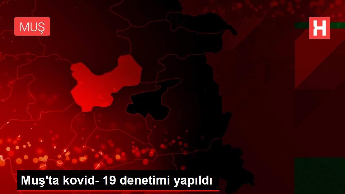 Muş'ta kovid- 19 denetimi yapıldı Muş'ta kovid- 19 denetimi yapıldı