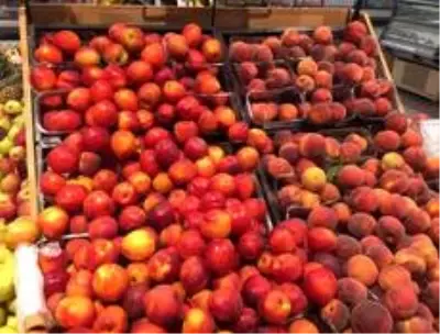 Osmaneli'ndeki manavlar kapalı pazar alanına alınıyor