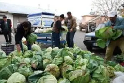 Pancar üretimi yüz güldürecek Pancar üretimi yüz güldürecek