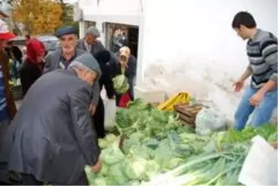 Pancar üretimi yüz güldürecek Pancar üretimi yüz güldürecek
