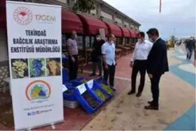 Rumeli İskelesi ziyaretçi akınına uğruyor Rumeli İskelesi ziyaretçi akınına uğruyor