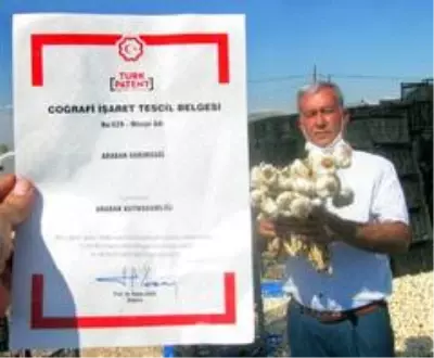 Sarımsak tartışmasında 'tescil' manevrası Sarımsak tartışmasında 'tescil' manevrası