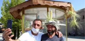 Sivaslı Kangal çobanı, Dünyaca ünlü Dan Bilzerian'a benzerliği ile dikkat çekiyor