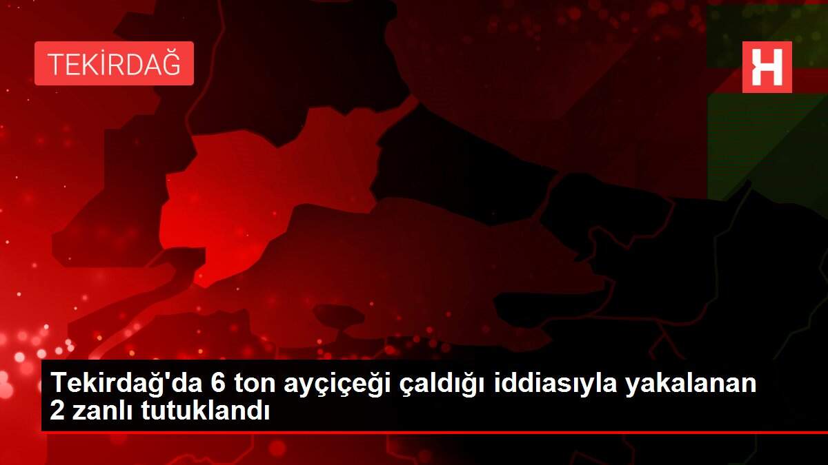 Tekirdağ'da 6 ton ayçiçeği çaldığı iddiasıyla yakalanan 2 zanlı tutuklandı