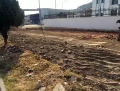 Toplum Sağlığı Merkezi ve eski hal alanında çevre düzenlemesi Toplum Sağlığı Merkezi ve eski hal alanında çevre düzenlemesi