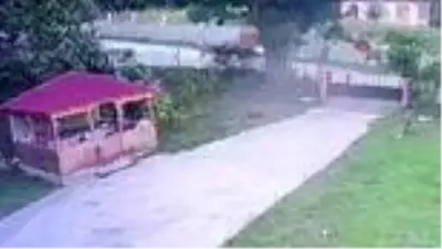 Traktörüyle seyir halindeyken arı soktu, hayatını kaybetti... Kaza anı kamerada Traktörüyle seyir halindeyken arı soktu, hayatını kaybetti... Kaza anı kamerada
