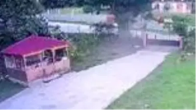 Traktörüyle seyir halindeyken arı soktu, hayatını kaybetti... Kaza anı kamerada Traktörüyle seyir halindeyken arı soktu, hayatını kaybetti... Kaza anı kamerada