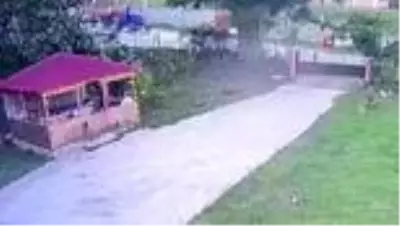 Traktörüyle seyir halindeyken arı soktu, hayatını kaybetti... Kaza anı kamerada Traktörüyle seyir halindeyken arı soktu, hayatını kaybetti... Kaza anı kamerada