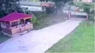 Traktörüyle seyir halindeyken arı soktu, hayatını kaybetti... Kaza anı kamerada Traktörüyle seyir halindeyken arı soktu, hayatını kaybetti... Kaza anı kamerada