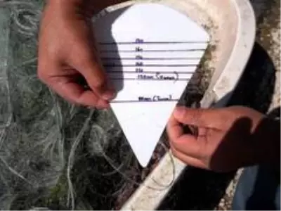 Yasak malzemelerle balık avlayan 27 kişi hakkında işlem yapıldı Yasak malzemelerle balık avlayan 27 kişi hakkında işlem yapıldı