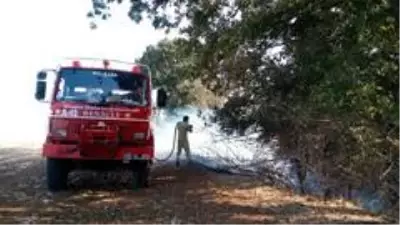Ağaçlık alanda korkutan yangın Ağaçlık alanda korkutan yangın