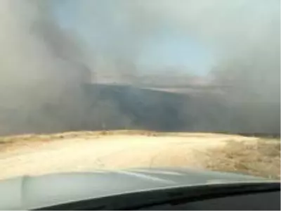 Sigara izmariti yangına neden oldu Sigara izmariti yangına neden oldu