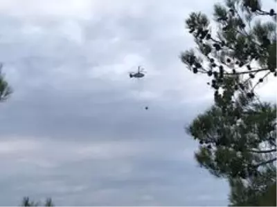 Son Dakika: Eskişehir'de orman yangını Son Dakika: Eskişehir'de orman yangını