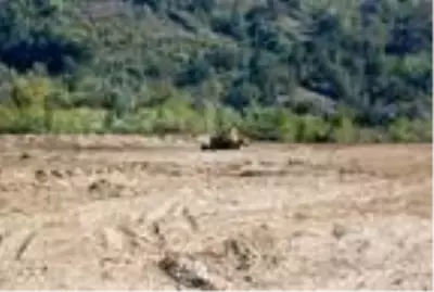 Bartın'da 20 dönüm araziye 30 sera kurulacak Bartın'da 20 dönüm araziye 30 sera kurulacak