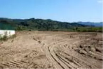 Bartın'da 20 dönüm araziye 30 sera kurulacak Bartın'da 20 dönüm araziye 30 sera kurulacak