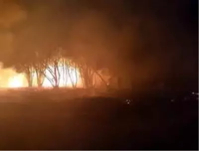 Son dakika... Bingöl'de yangın, bazı ağaçlar zarar gördü Son dakika... Bingöl'de yangın, bazı ağaçlar zarar gördü
