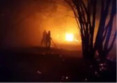 Son dakika... Bingöl'de yangın, bazı ağaçlar zarar gördü Son dakika... Bingöl'de yangın, bazı ağaçlar zarar gördü