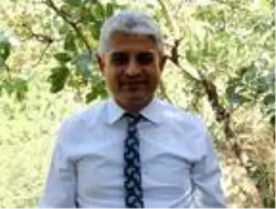 Bitlis'te Siirt fıstığının hasadı başladı Bitlis'te Siirt fıstığının hasadı başladı
