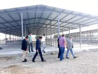 'Canlı hayvan pazarı ilçe ekonomisi için çok önemli bir yatırım' 'Canlı hayvan pazarı ilçe ekonomisi için çok önemli bir yatırım'
