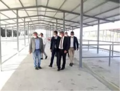 'Canlı hayvan pazarı ilçe ekonomisi için çok önemli bir yatırım' 'Canlı hayvan pazarı ilçe ekonomisi için çok önemli bir yatırım'