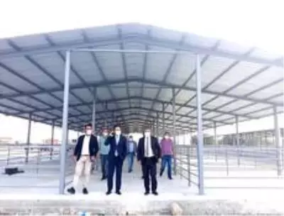 'Canlı hayvan pazarı ilçe ekonomisi için çok önemli bir yatırım' 'Canlı hayvan pazarı ilçe ekonomisi için çok önemli bir yatırım'