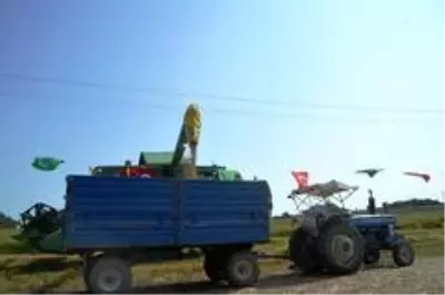 Damlama sulama yöntemi ile yetiştirilen çeltiğin hasadı yapıldı Damlama sulama yöntemi ile yetiştirilen çeltiğin hasadı yapıldı