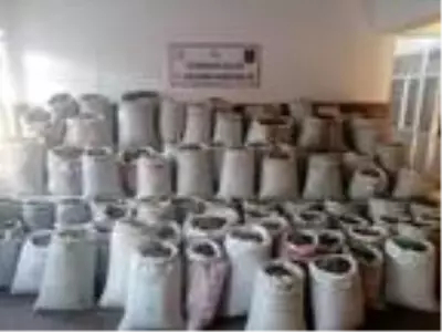 Diyarbakır'da 1.2 ton esrar ele geçirildi; 3 gözaltı Diyarbakır'da 1.2 ton esrar ele geçirildi; 3 gözaltı