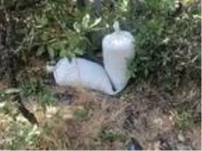 Diyarbakır'da 1.2 ton esrar ele geçirildi; 3 gözaltı Diyarbakır'da 1.2 ton esrar ele geçirildi; 3 gözaltı