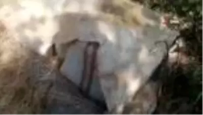 Son dakika haber! Diyarbakır'da dev uyuşturucu operasyonu Son dakika haber! Diyarbakır'da dev uyuşturucu operasyonu