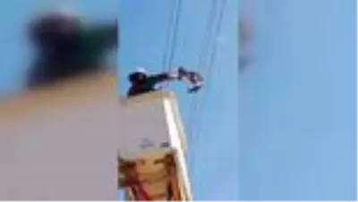 Enerji nakil hattına takılan şahin kurtarıldı Enerji nakil hattına takılan şahin kurtarıldı
