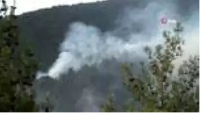 Son Dakika: Eskişehir'de orman yangını Son Dakika: Eskişehir'de orman yangını