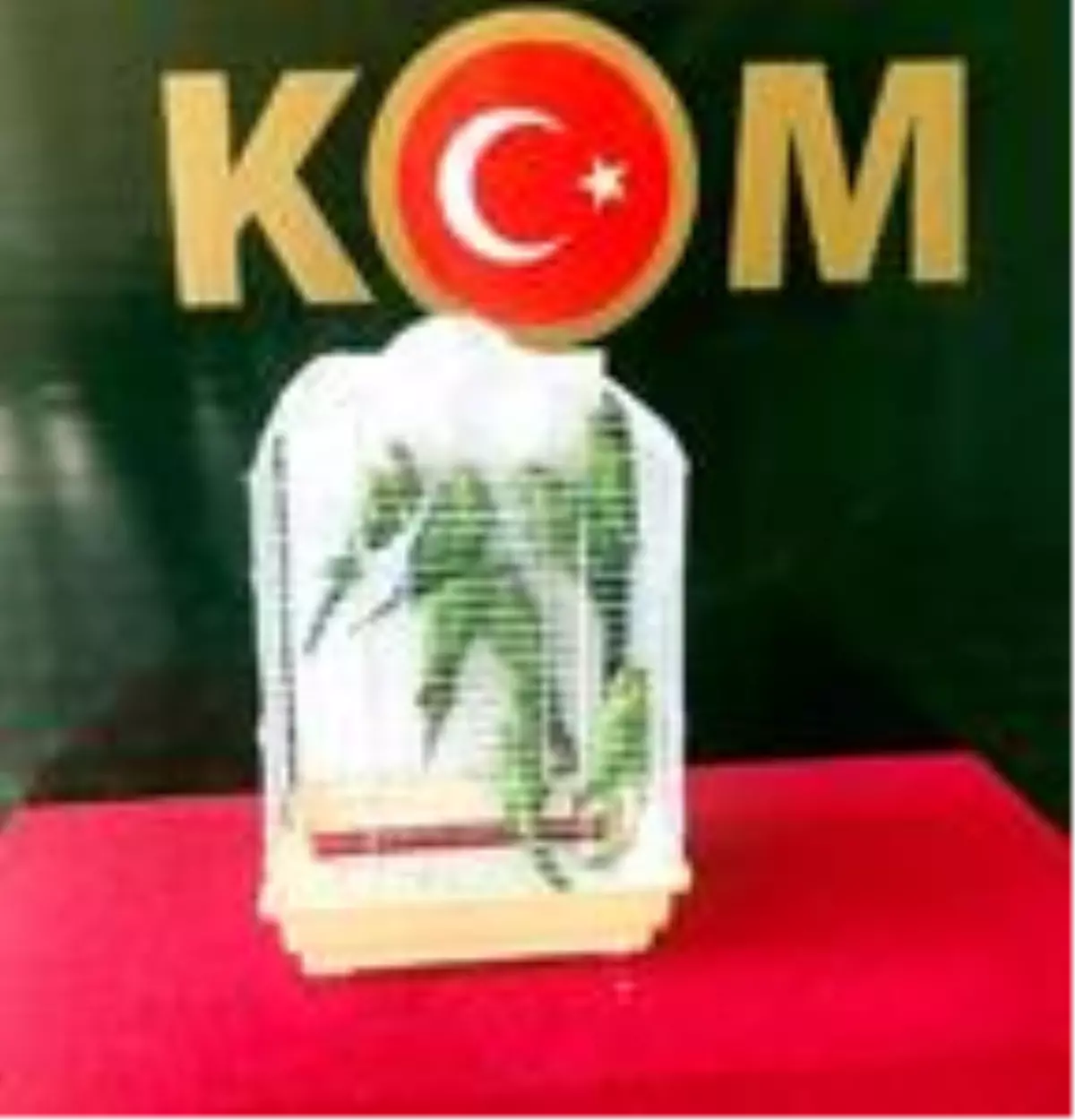 Gaziantep'te, kaçak yollarla getirilen 8 Pakistan papağanı korumaya alındı