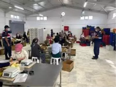 Germencik'te 156 işletme denetlendi Germencik'te 156 işletme denetlendi