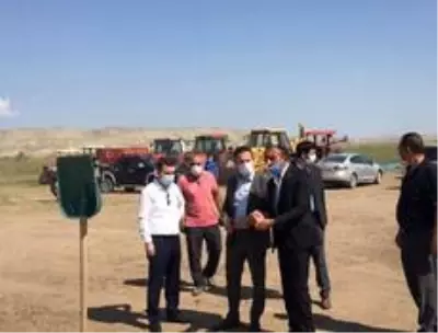 Kaymakam Görmüş çeltik hasadını inceledi Kaymakam Görmüş çeltik hasadını inceledi