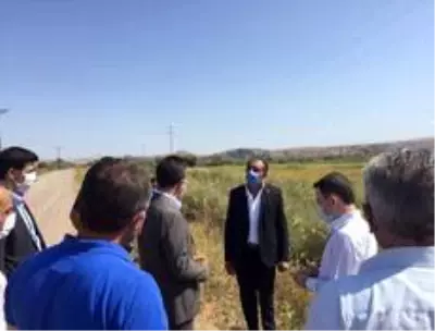Kaymakam Görmüş çeltik hasadını inceledi Kaymakam Görmüş çeltik hasadını inceledi
