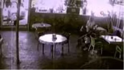 Son dakika haber... Kaza yapan köpeği veterinere götürürken ceza yedi Son dakika haber... Kaza yapan köpeği veterinere götürürken ceza yedi