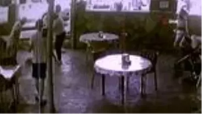 Son dakika haber... Kaza yapan köpeği veterinere götürürken ceza yedi Son dakika haber... Kaza yapan köpeği veterinere götürürken ceza yedi