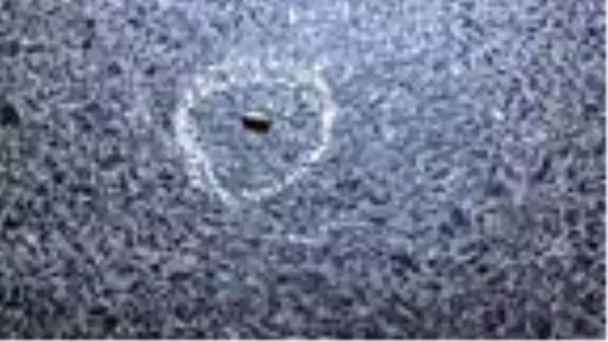 DHA İSTANBUL BÜLTENİ-1