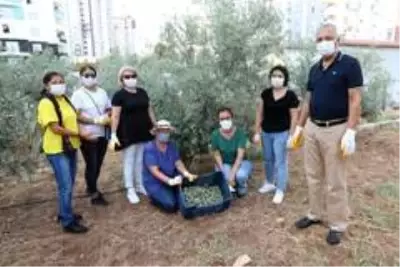 Mezitli'de dayanışma ekonomisi hayat buldu Mezitli'de dayanışma ekonomisi hayat buldu